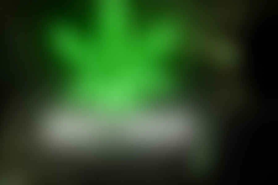 Weed Leaf Neon Sign