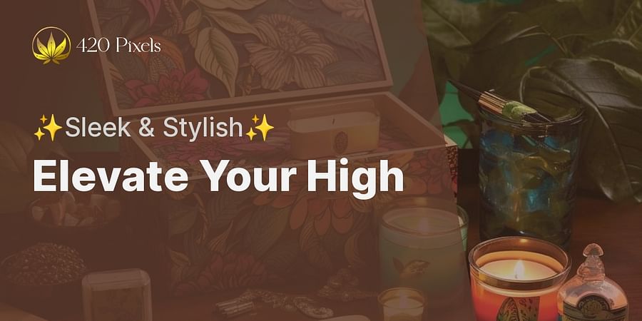 Elevate Your High - β¨Sleek & Stylishβ¨