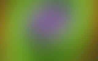 Does 420 Pixels offer weed candles?
