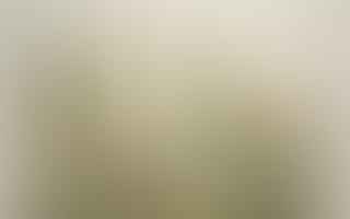 How can I create paper from cannabis plant stalks and stems?